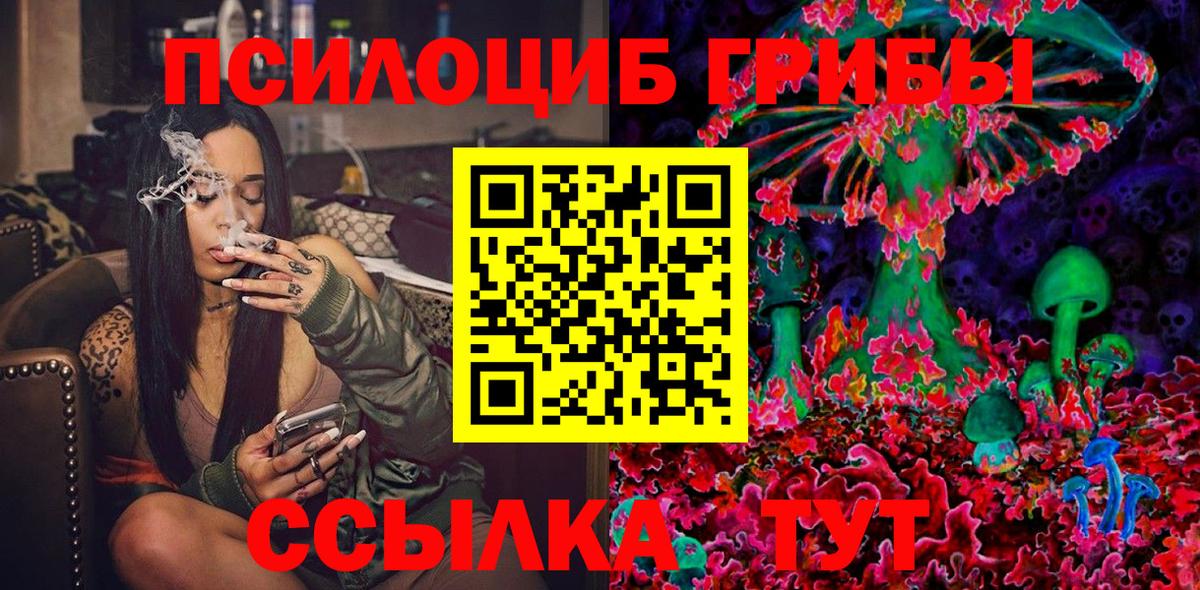 Псилоцибиновые грибы прущие грибы Павлово